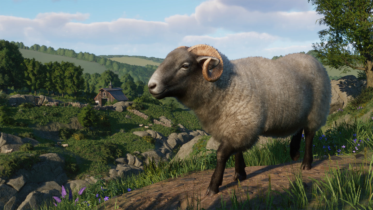 Planet Zoo: Barnyard Animal Pack (PC) - Steam Klíč