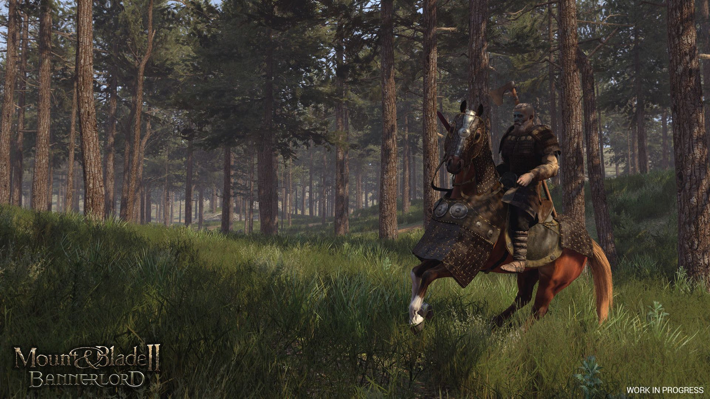 Mount & Blade II: Bannerlord - Steam Kľúč