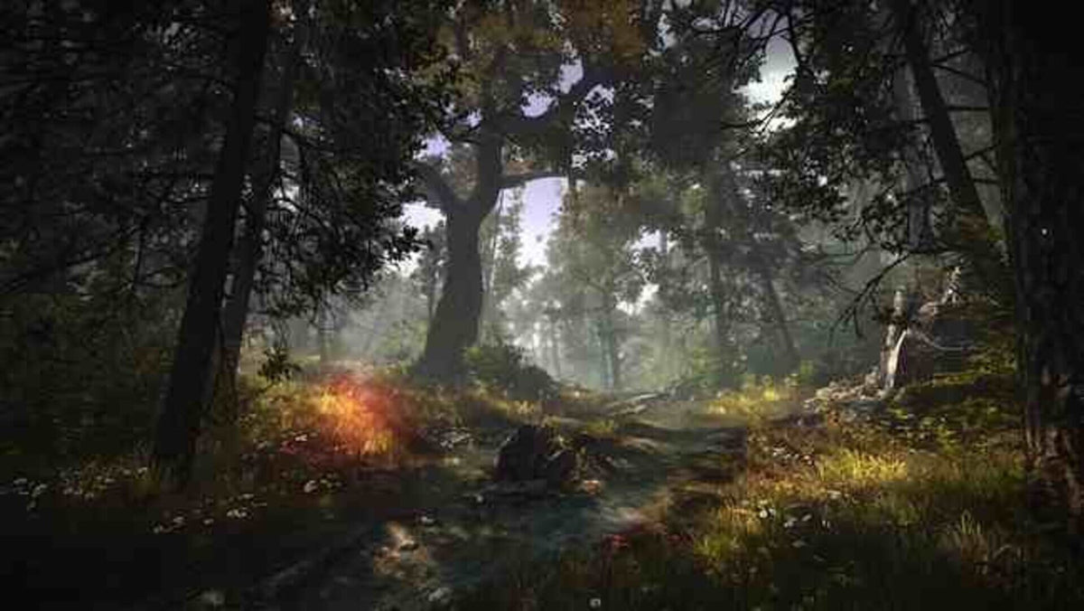 The Witcher 2 Assassins of Kings (PC) Enhanced Edition - GOG.com – herní záběr (1)