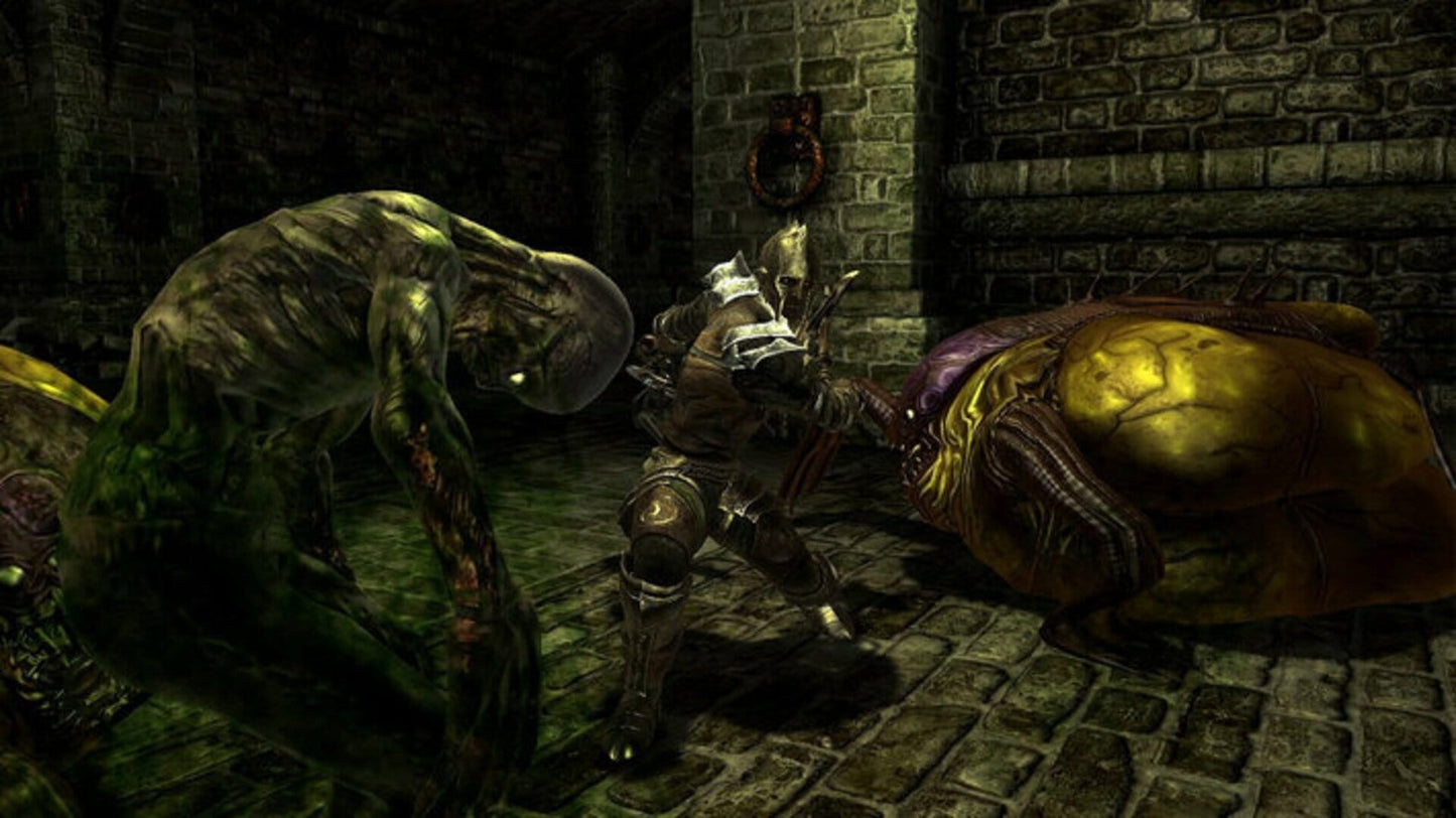IGDB screenshot: Divinity II: Developer's Cut (6)