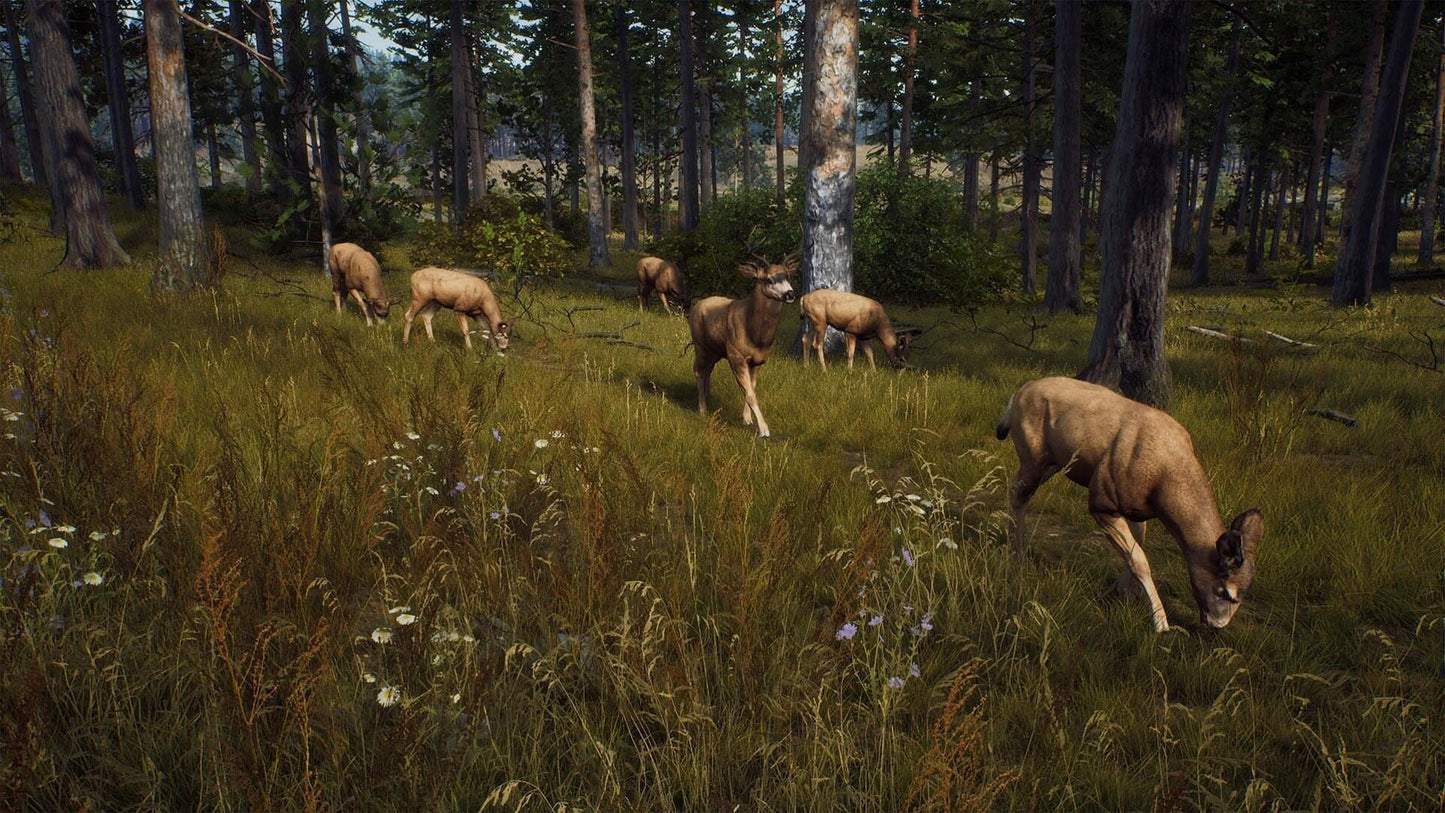 IGDB screenshot: Way of the Hunter (4)