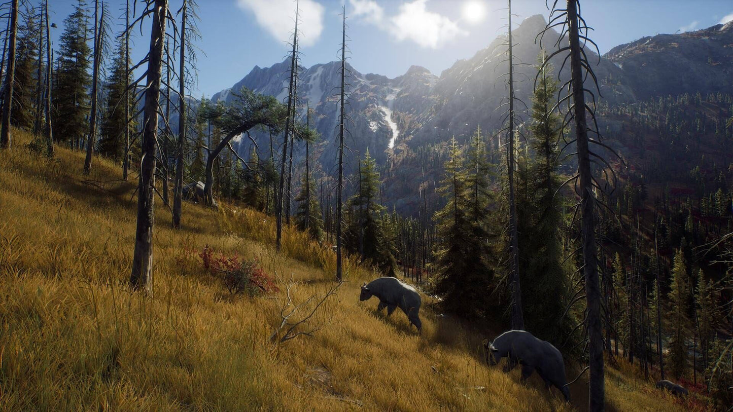 IGDB screenshot: Way of the Hunter (7)