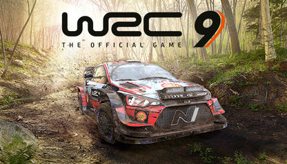 WRC 9 FIA World Rally Championship (PC) - Steam Klíč – Steam klíč (2)