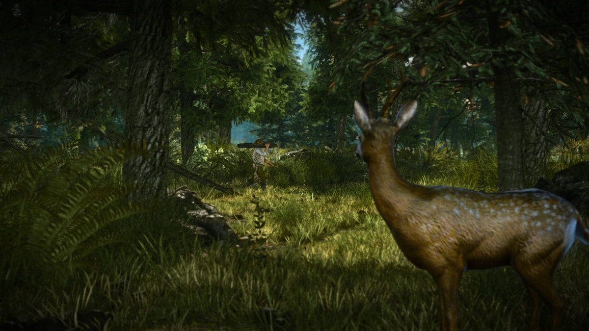 The Witcher 2 Assassins of Kings (PC) Enhanced Edition - GOG.com – herní záběr (3)