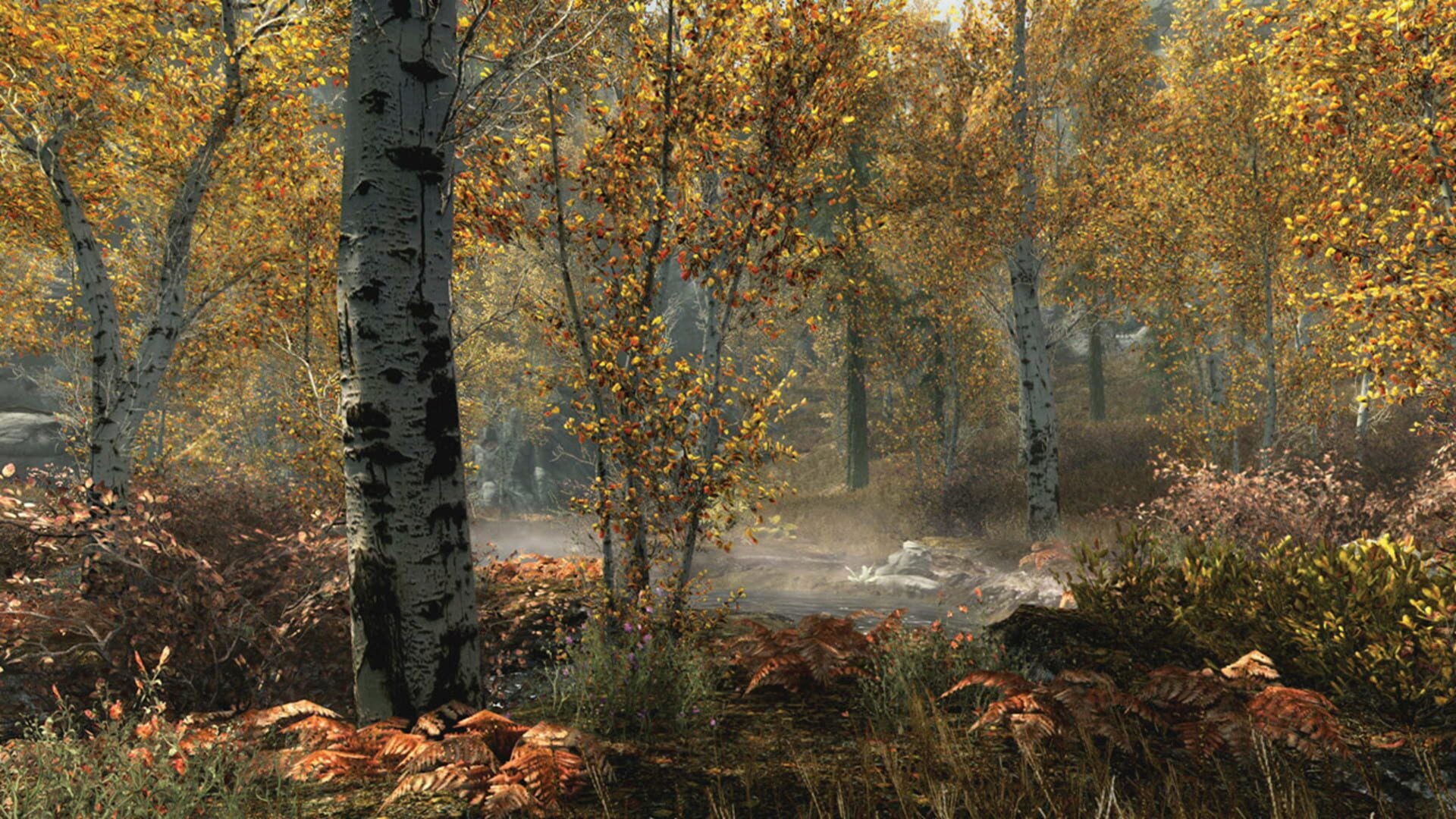 IGDB screenshot: The Elder Scrolls V: Skyrim - Special Edition (5)
