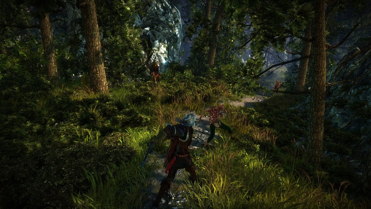 The Witcher 2 Assassins of Kings (PC) - GOG.com – herní záběr (1)
