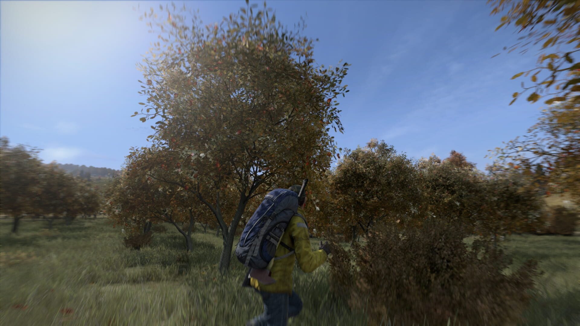 IGDB screenshot: DayZ (2)