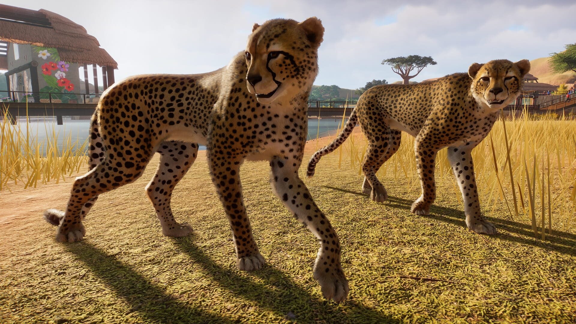 IGDB screenshot: Planet Zoo (6)