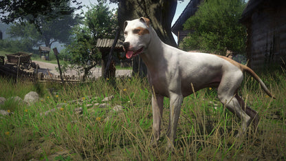 Kingdom Come Deliverance A Womans Lot (DLC) - Steam – herní záběr (3)