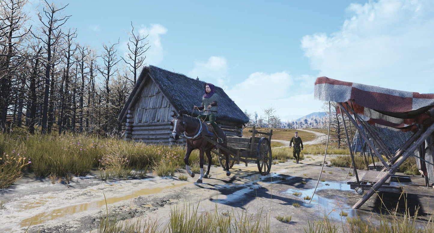 IGDB screenshot: Manor Lords (5)