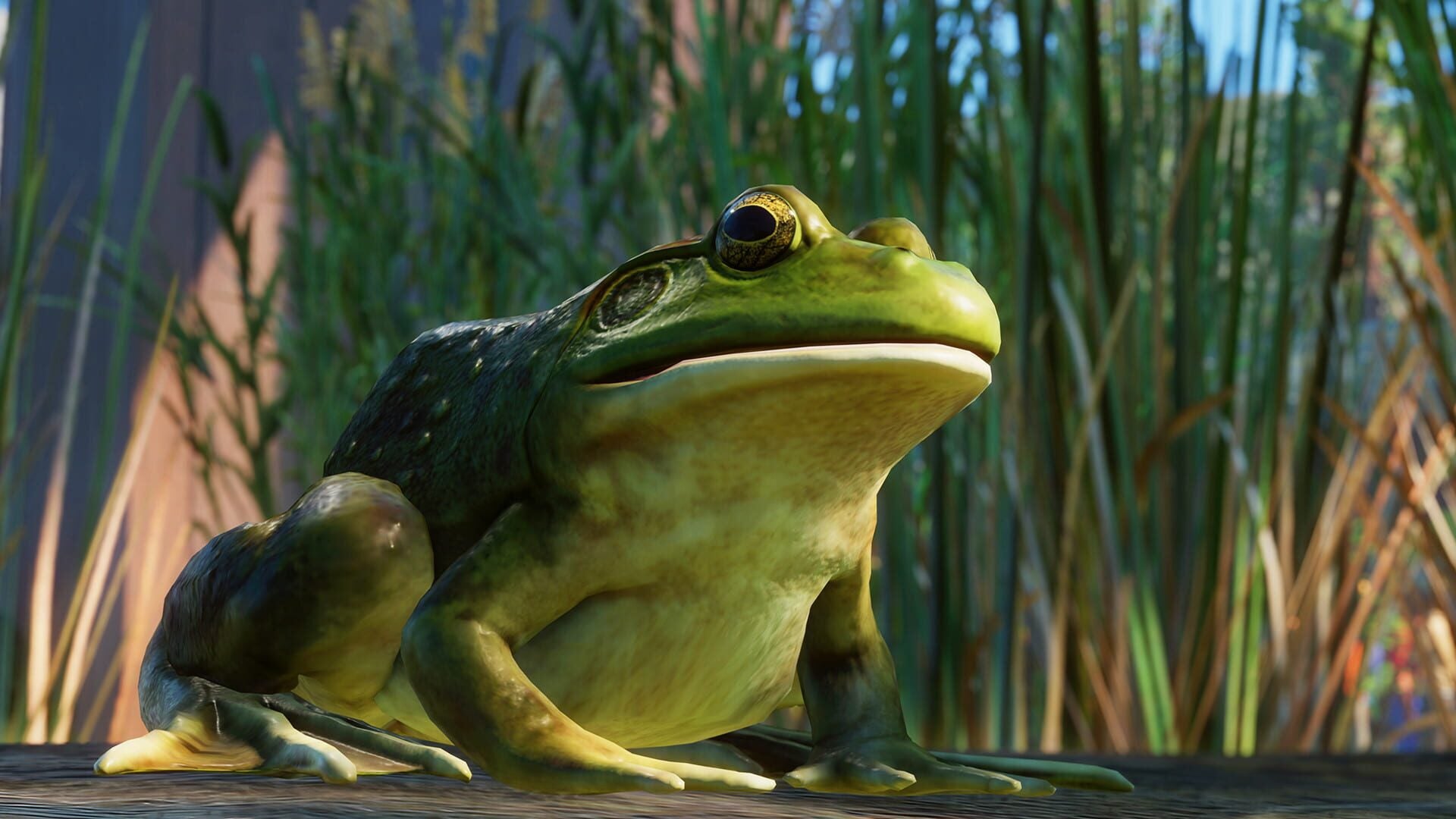 IGDB screenshot: Planet Zoo: North America Animal Pack (8)