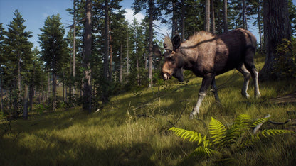IGDB screenshot: Way of the Hunter (6)
