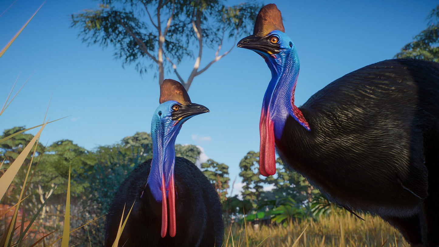 IGDB screenshot: Planet Zoo: Australia Pack (4)