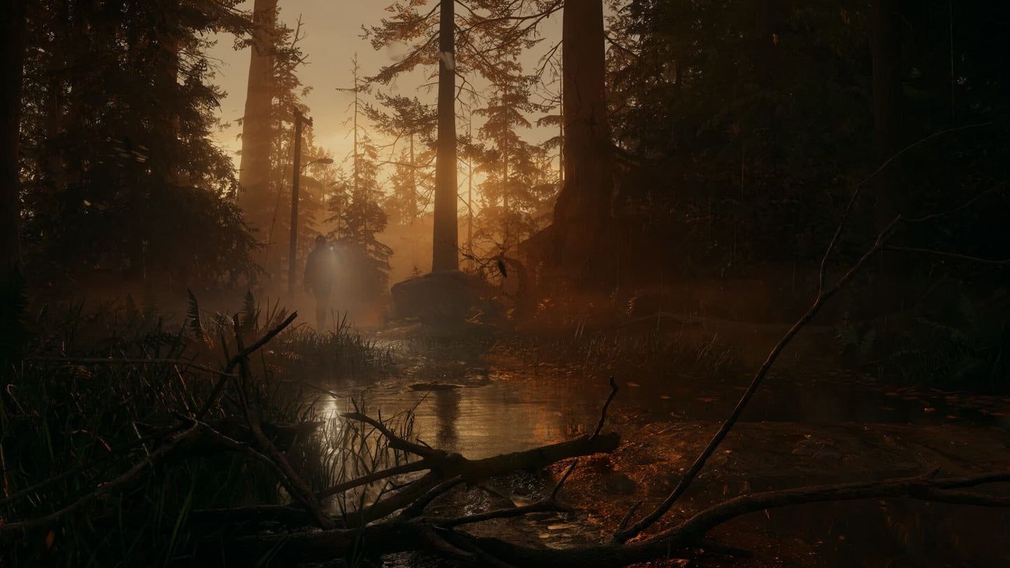 IGDB screenshot: Alan Wake II (5)