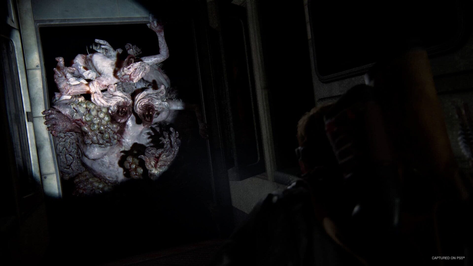 IGDB screenshot: The Last of Us Part II Remastered (1)