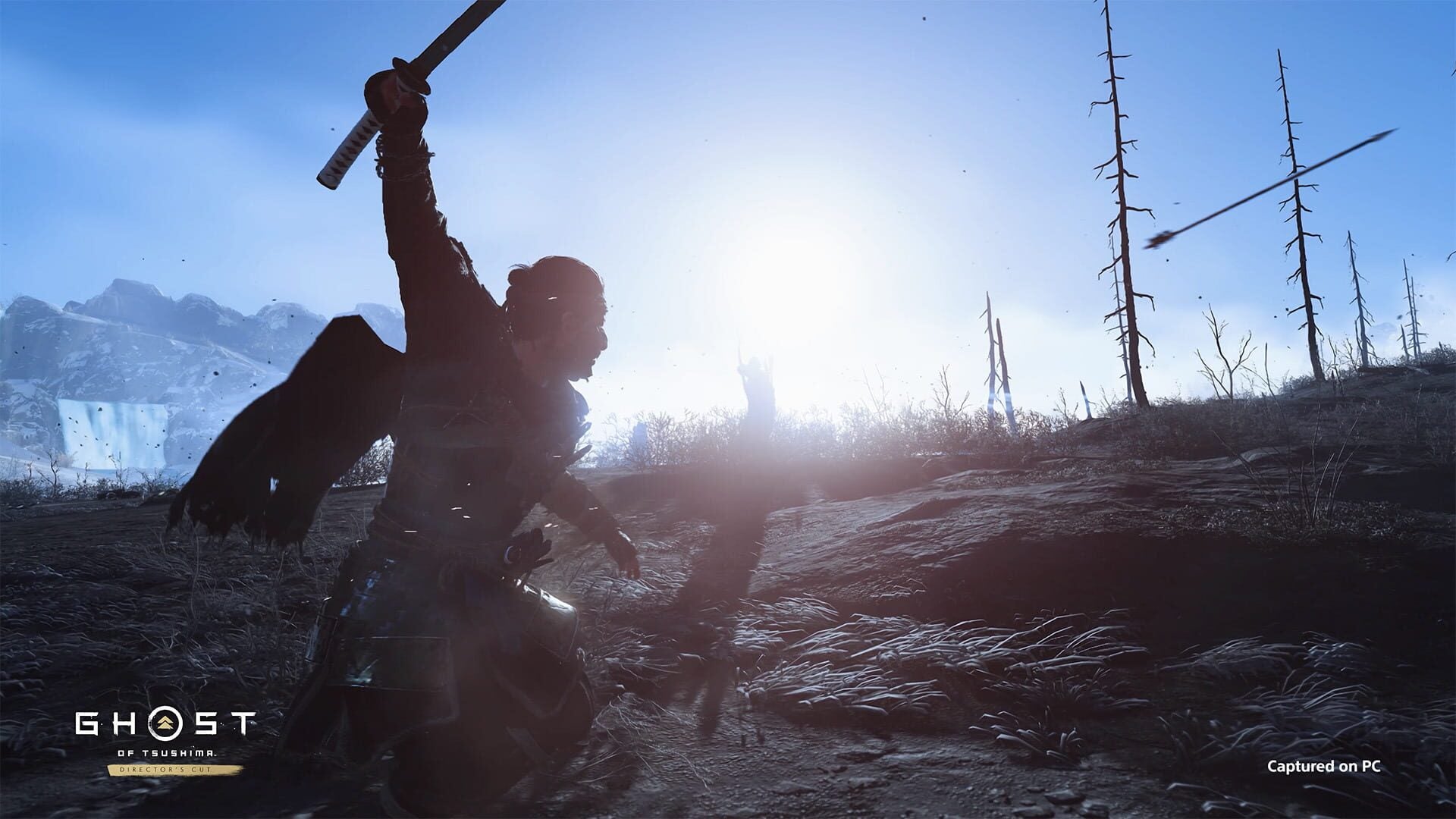 IGDB screenshot: Ghost of Tsushima: Director's Cut (6)
