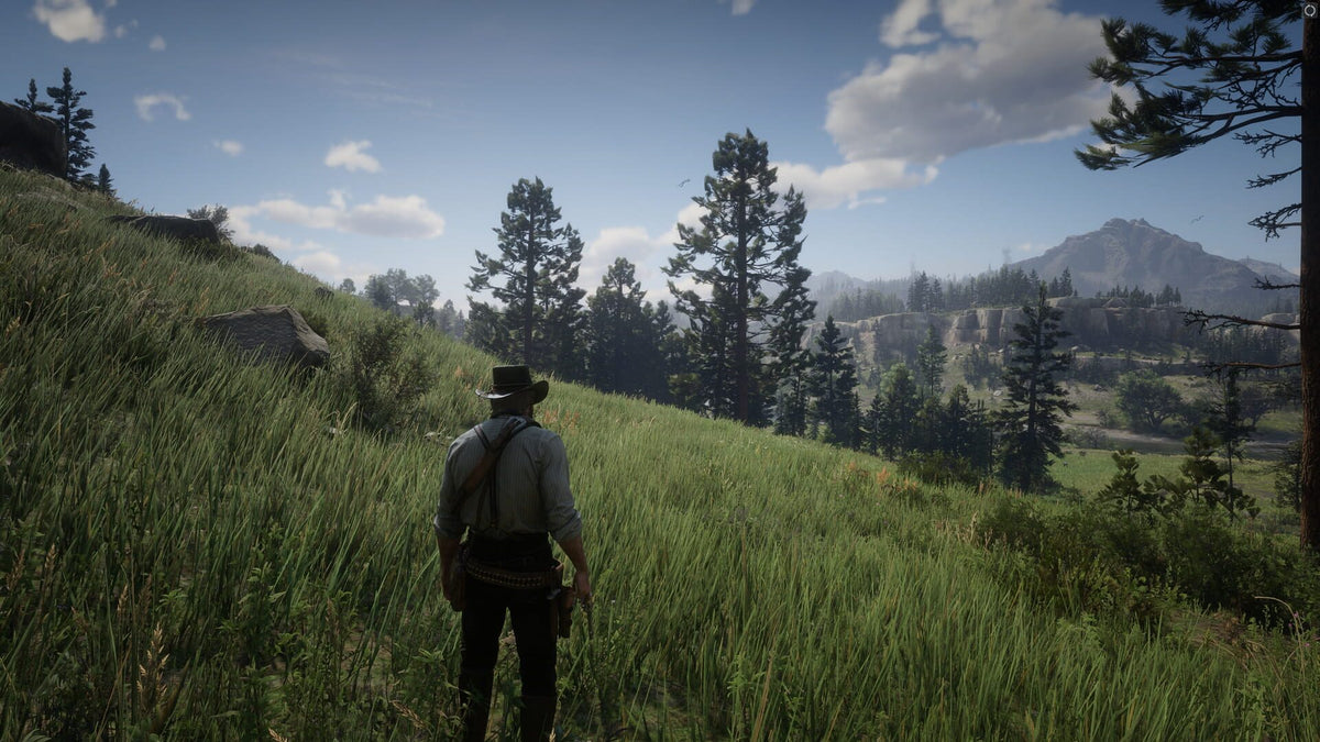 Red Dead Redemption 2 (Xbox) - Xbox Live – herní záběr (5)