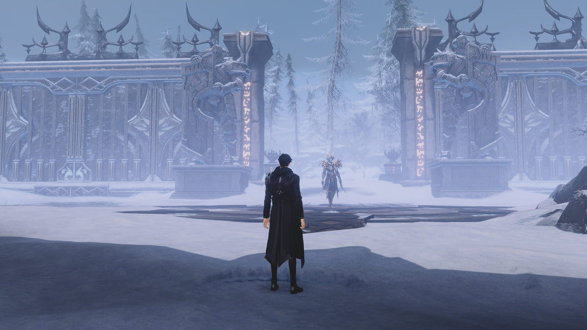 Solo Leveling: Arise Overdrive (PC) - Steam Klíč – herní záběr (3)