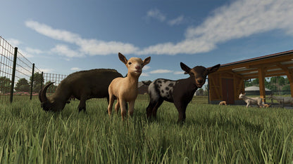 IGDB screenshot: Farming Simulator 25: Highlands Fishing Edition (3)