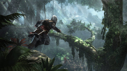 IGDB screenshot: Assassin's Creed IV Black Flag (2)