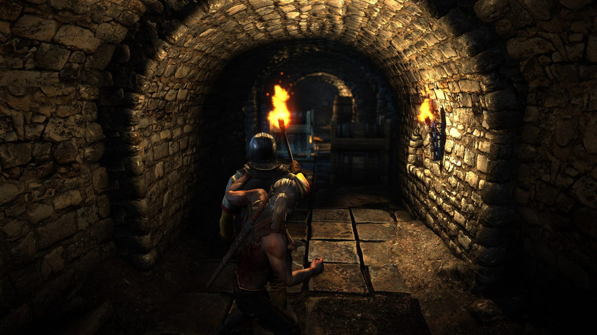 The Witcher 2 Assassins of Kings (PC) - GOG.com – herní záběr (2)